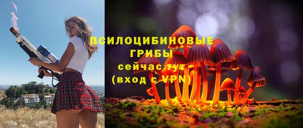 spice Арсеньев